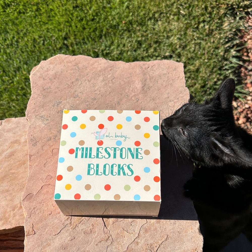 Colorful Milestone Blocks - Picture 4 of 5